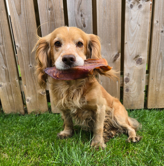 Pig Ears
