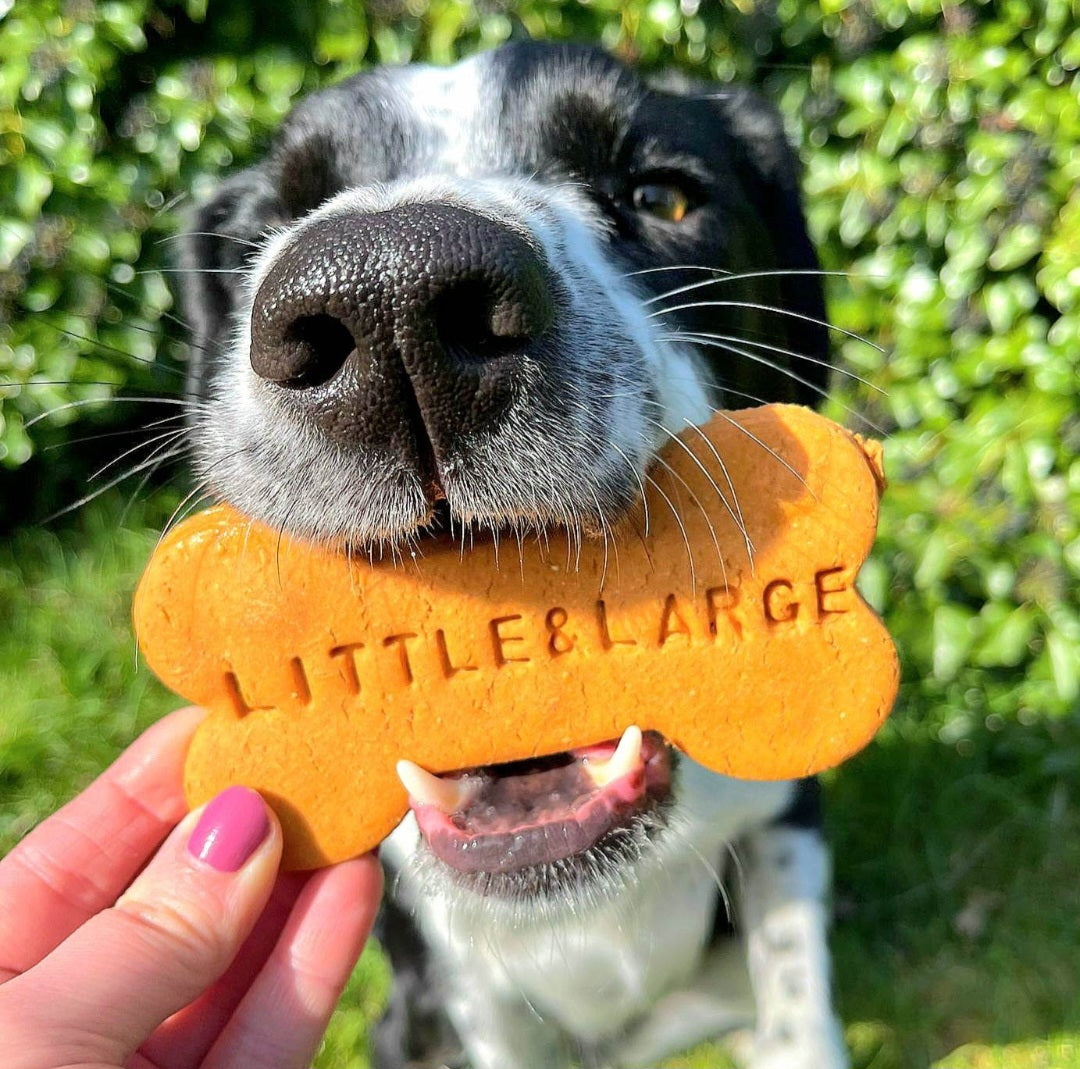 Little & Large Peanut Butter Bone