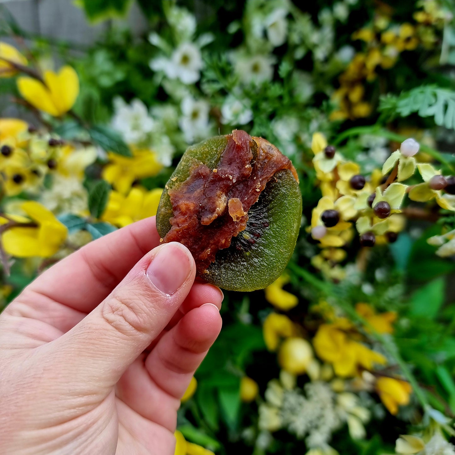 Kiwi Slices wrapped in Duck Breast