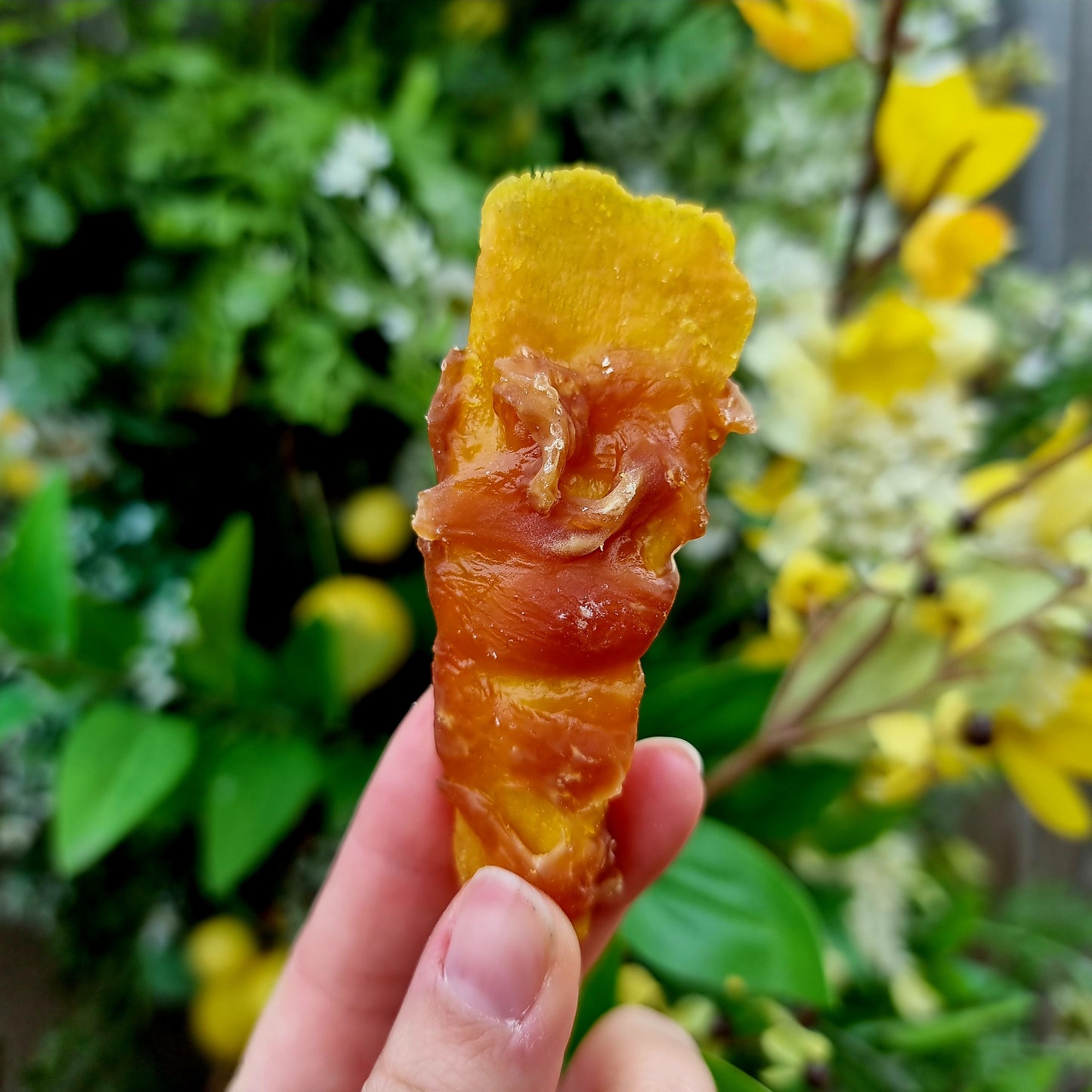 Mango Slices wrapped in Chicken Breast