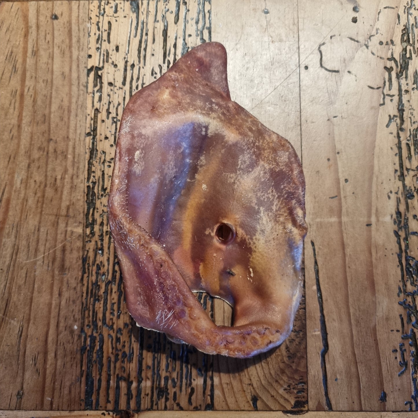 Pig Ears