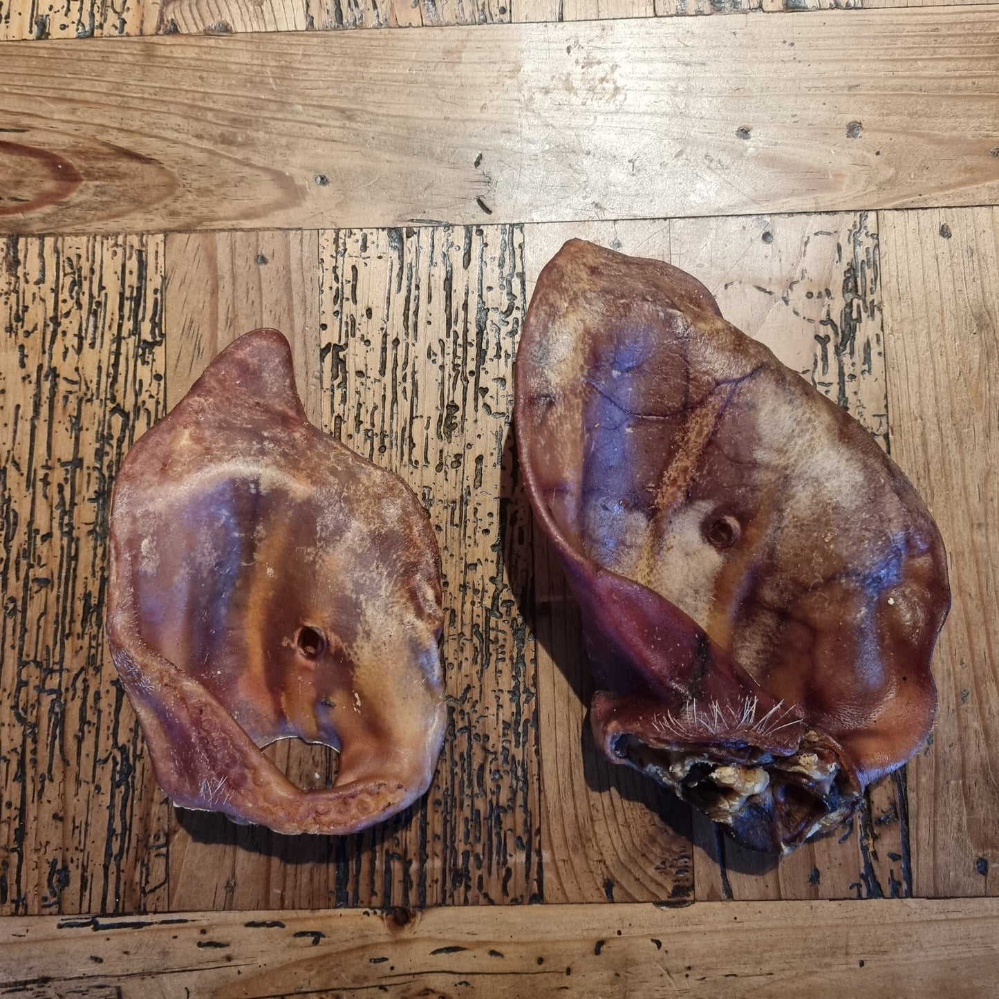 Pig Ears