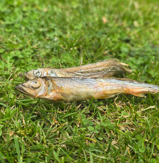 Freeze Dried Capelin