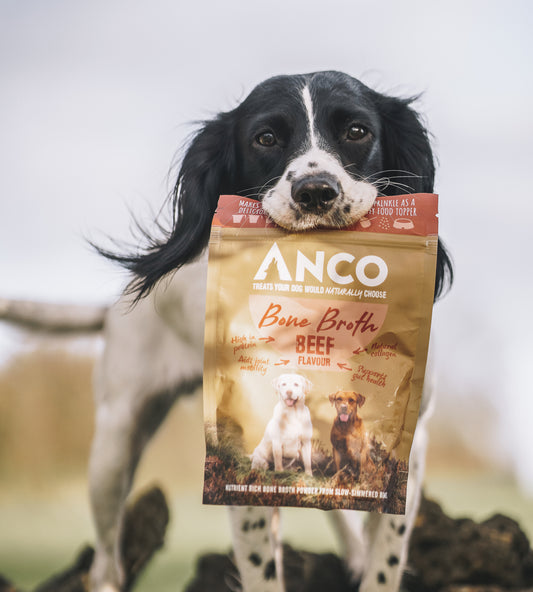 Anco Beef Bone Broth