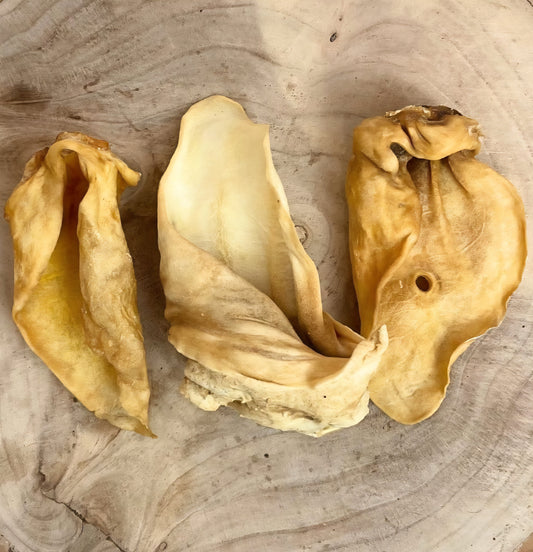 Cow Ears Plain