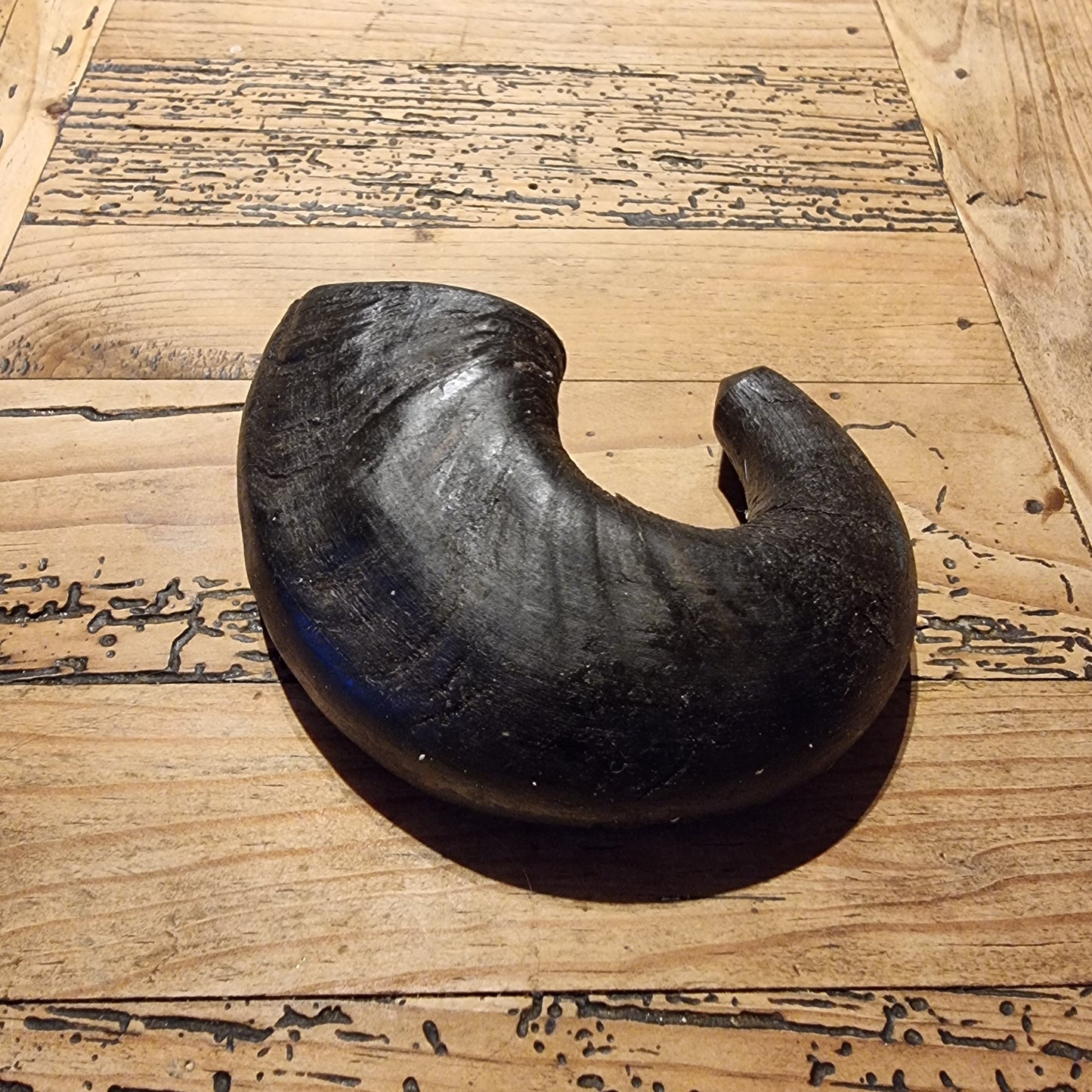 Buffalo Horn