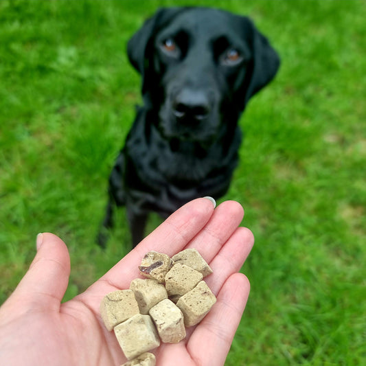 Freeze Dried Beef Liver Cubes