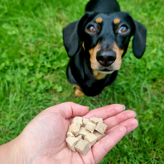 Freeze Dried Duck Cubes