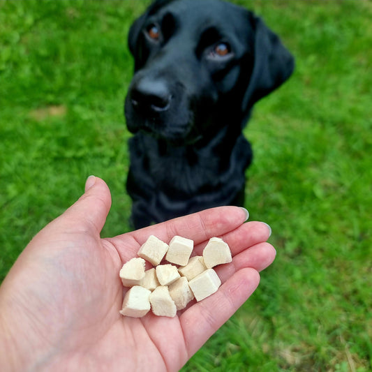 Freeze Dried Chicken Cubes