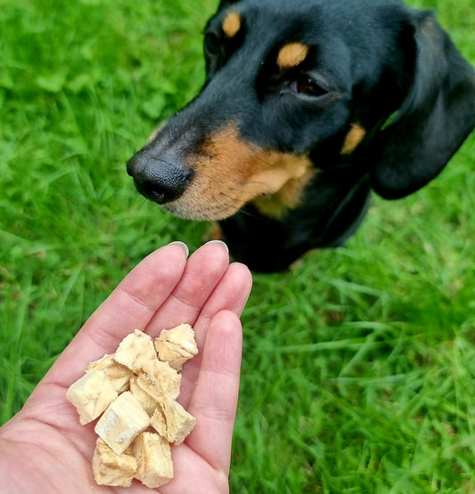 Freeze Dried Cod Cubes