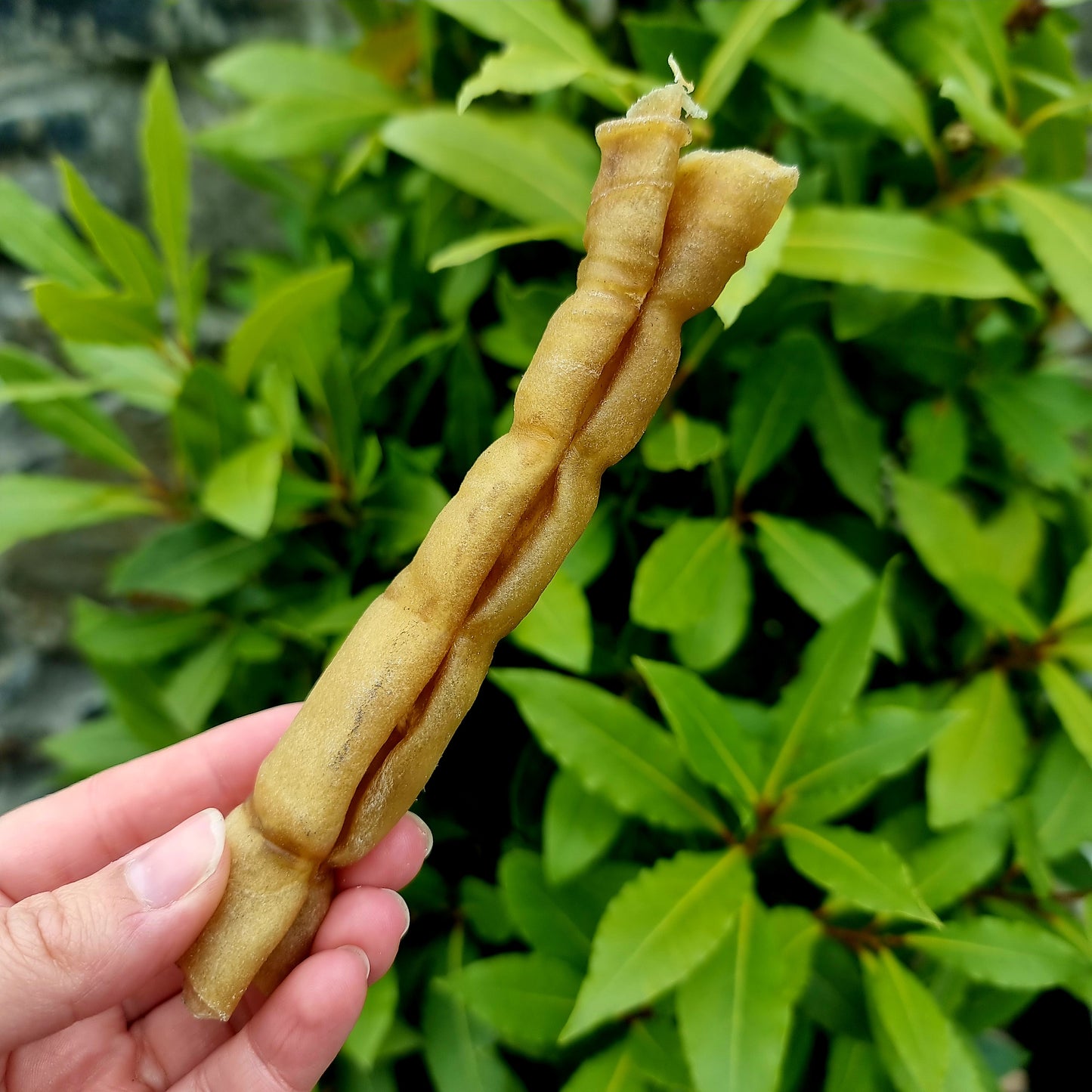 Mini Buffalo Roll