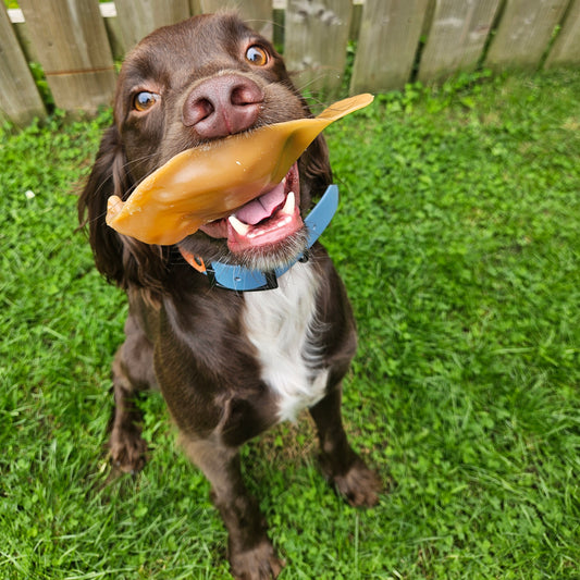 Veggie Peanut Butter Ear