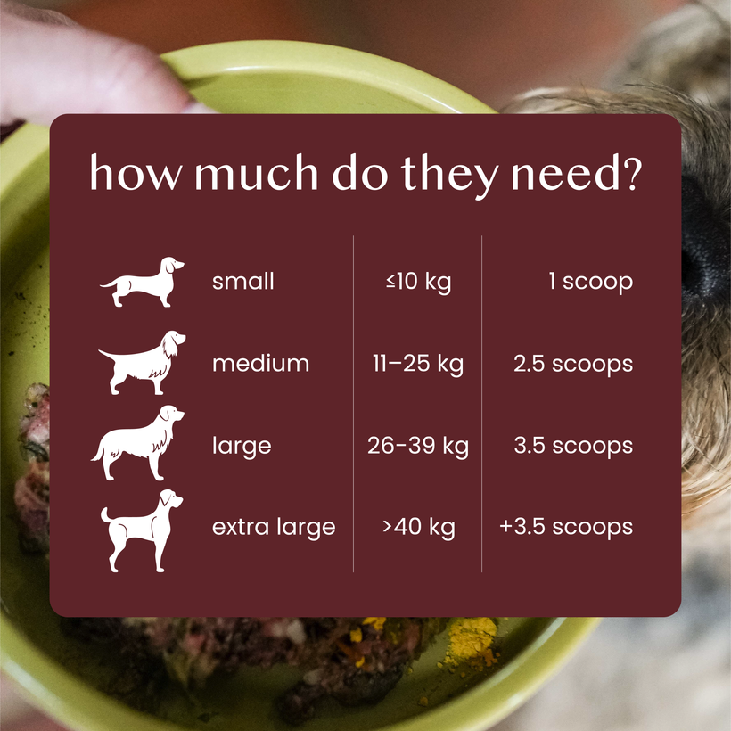 Joint Support Powder - Pure & Natural