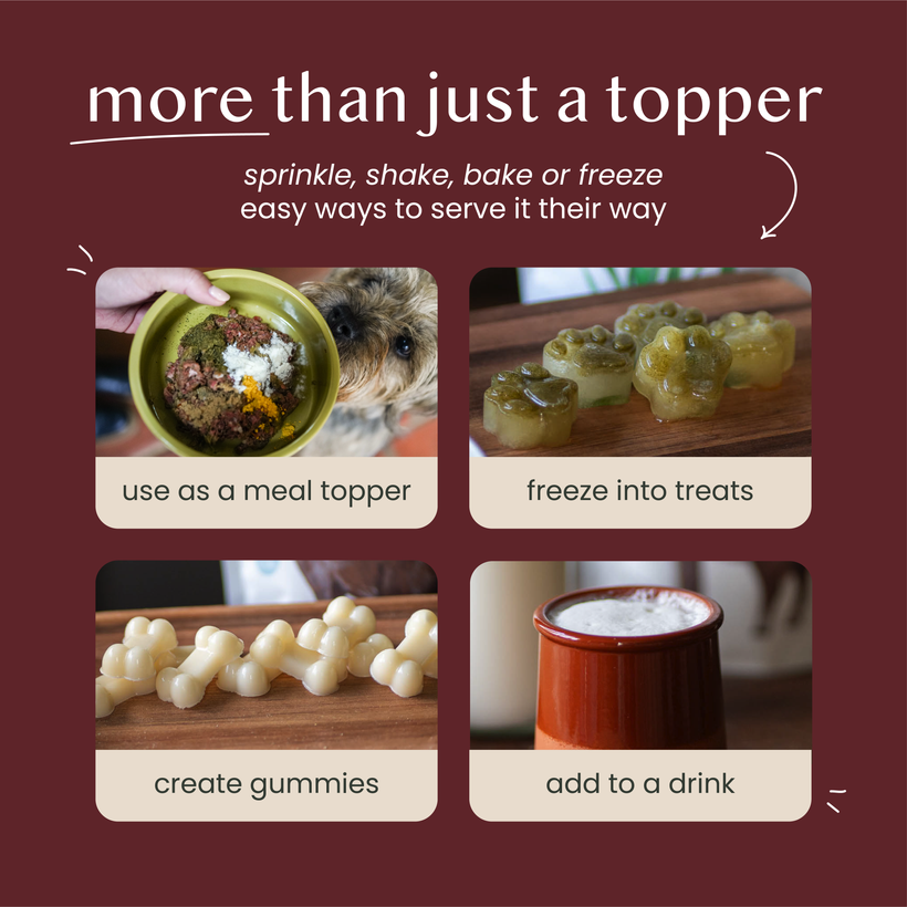 Joint Support Powder - Pure & Natural