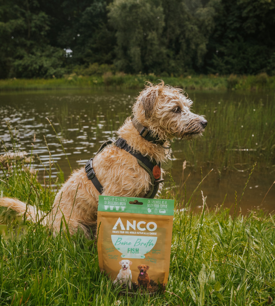 Anco Fish Bone Broth