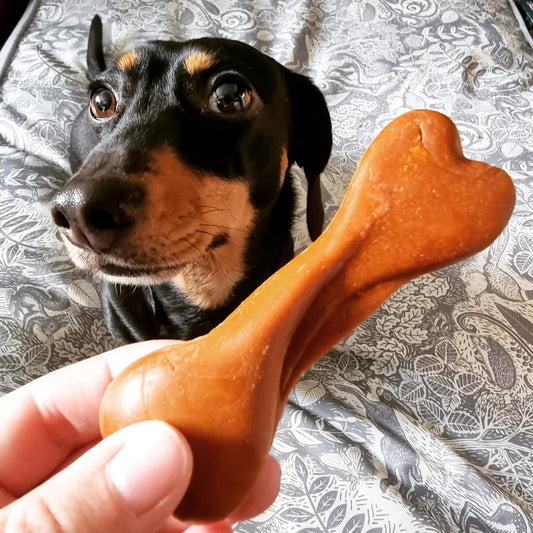 Pumpkin & Carrot Bones