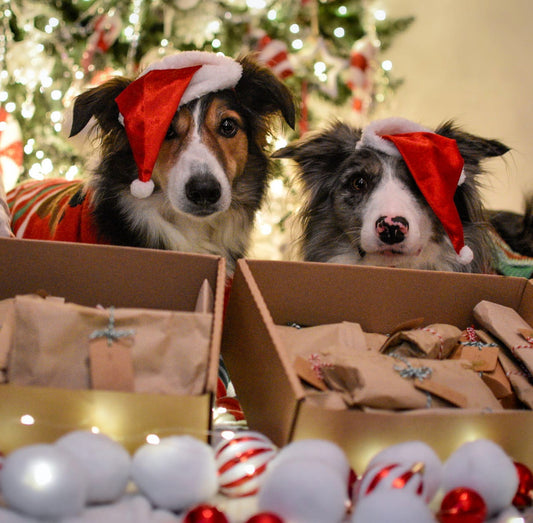 The Novel Advent Calendar