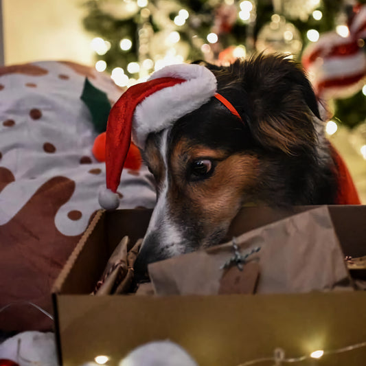 The Little Advent Calendar