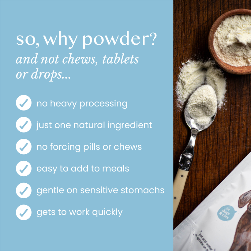Goat Milk Powder