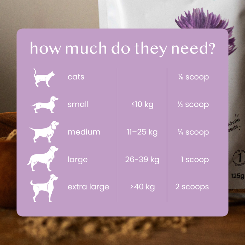 Milk Thistle Powder