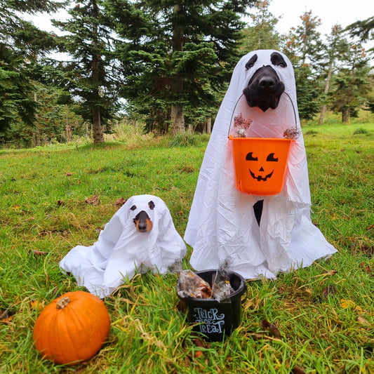 Trick or Treat Bags