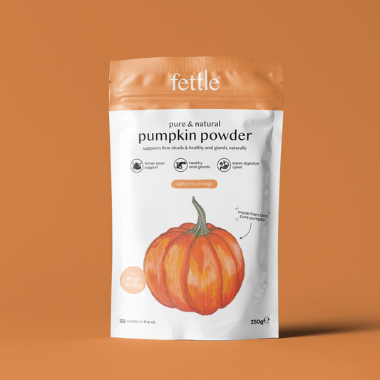 Pumpkin Powder
