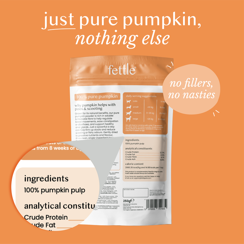 Pumpkin Powder