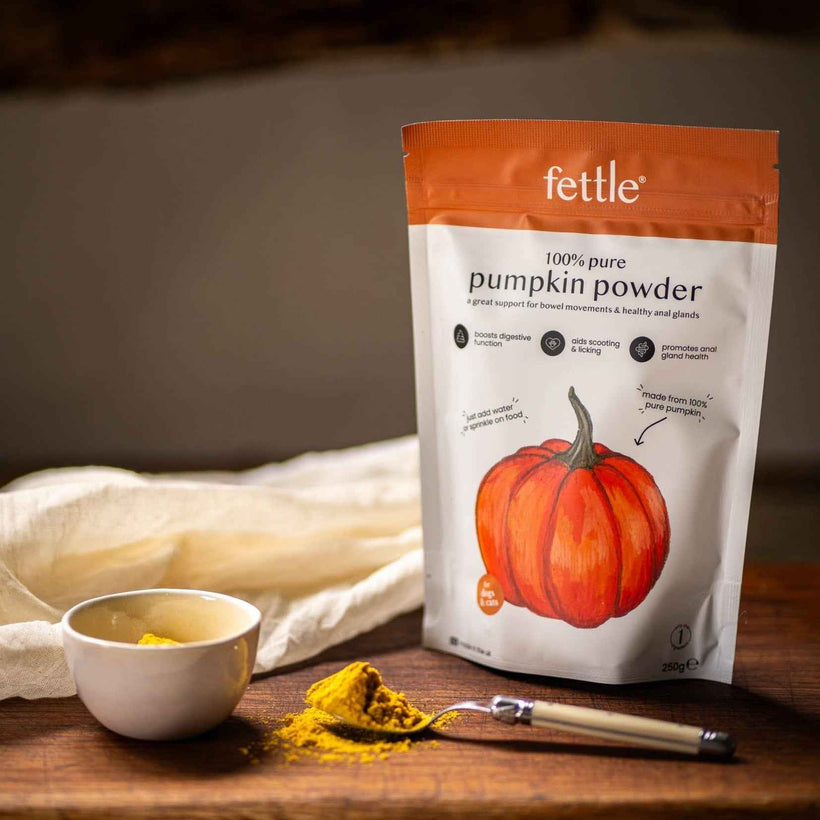 Pumpkin Powder