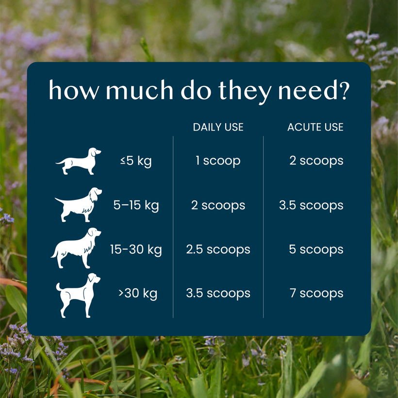 Calming Support Powder - Pure & Gentle