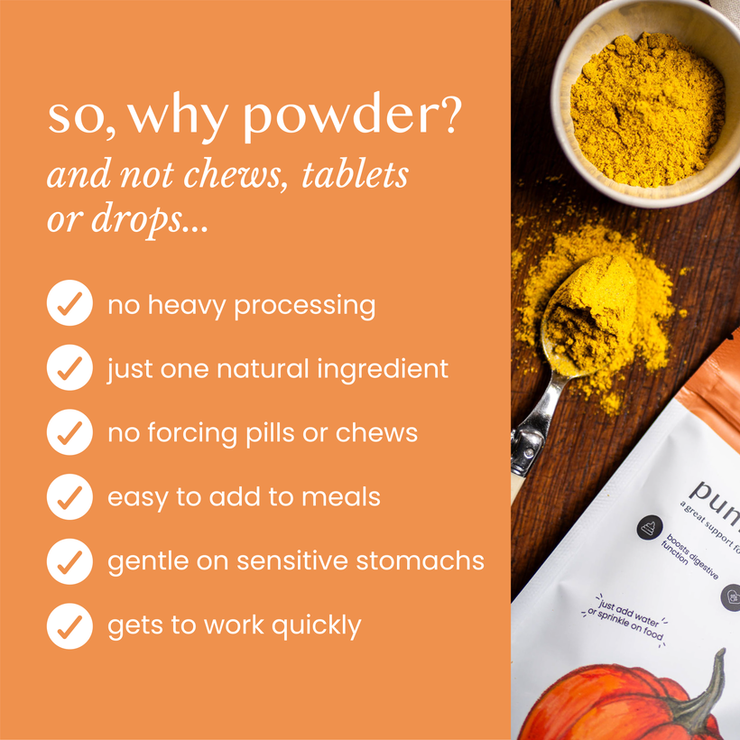 Pumpkin Powder
