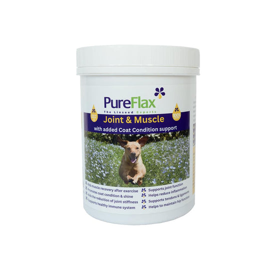 Joint & Muscle with added coat condition support