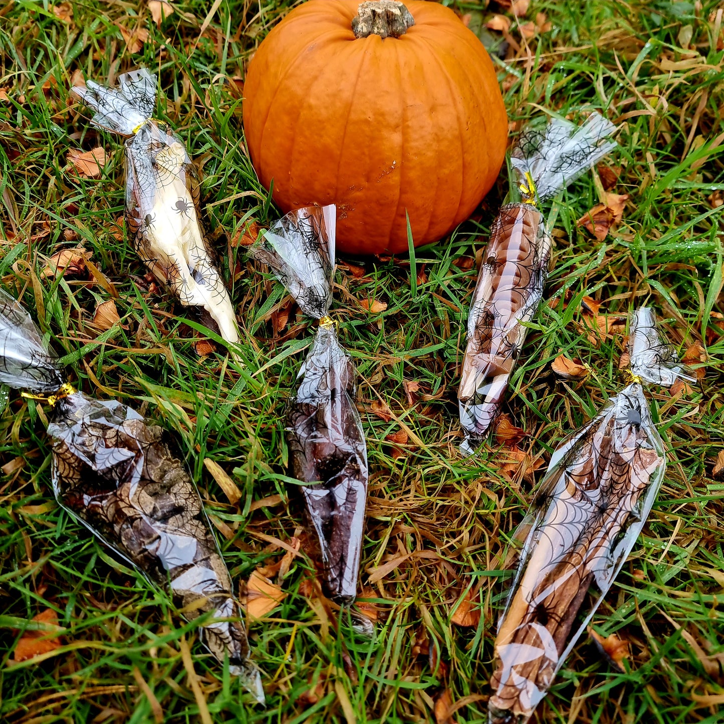 Trick or Treat Bags
