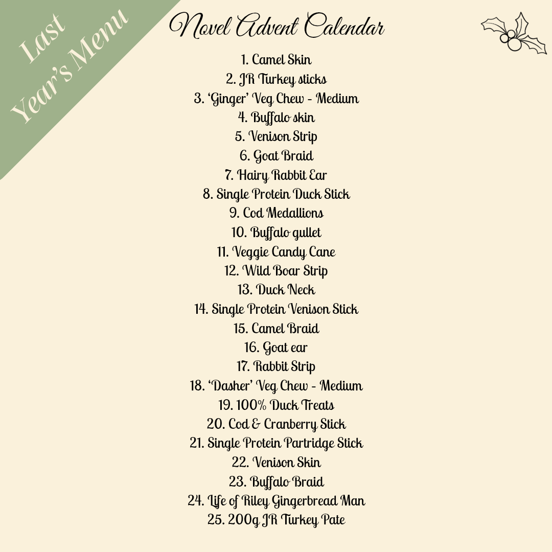 The Novel Advent Calendar