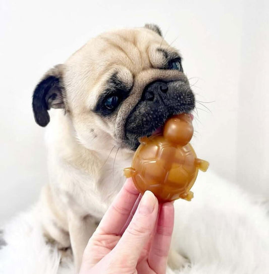 Peanut Butter Turtle