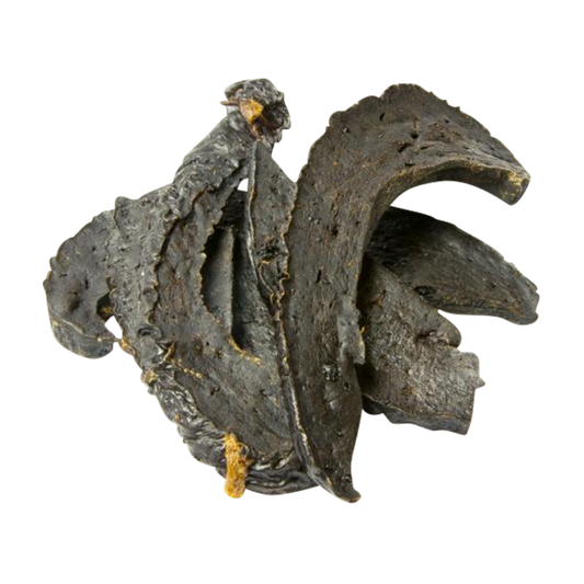 Dried Beef Liver